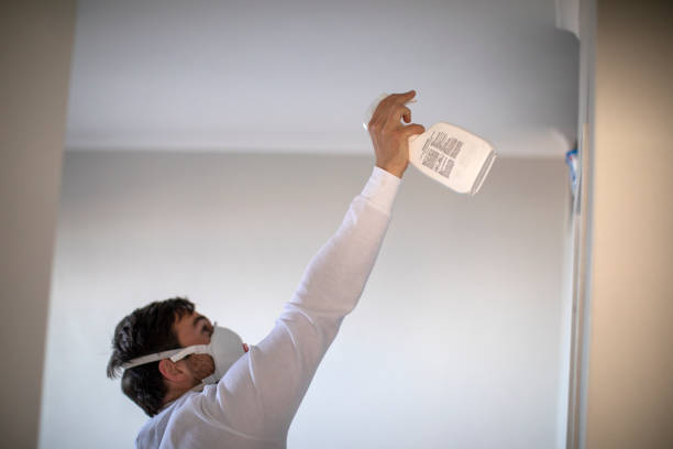 Best Attic Mold Removal  in St City, AR
