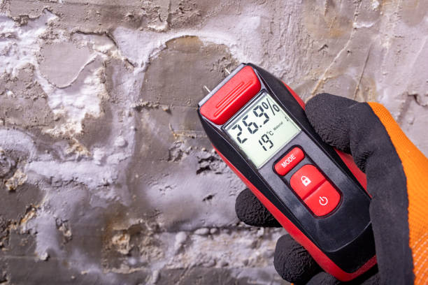 Best Mold Cleaning Services  in St City, AR