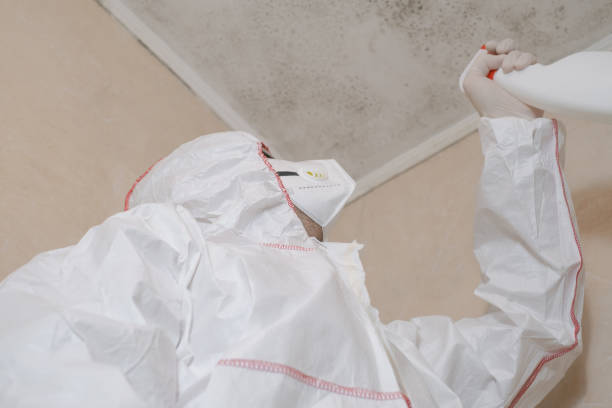 Best Crawl Space Mold Removal  in St City, AR